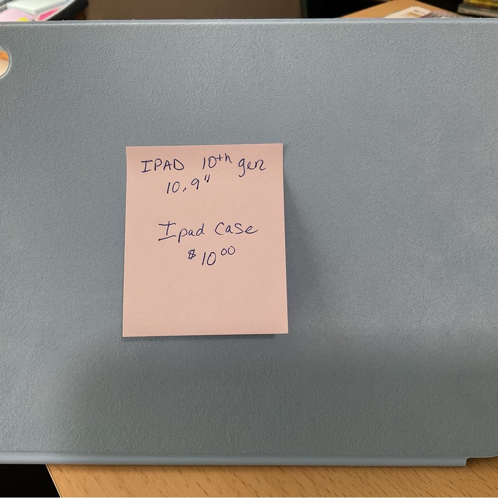 Apple Light Blue iPad Case